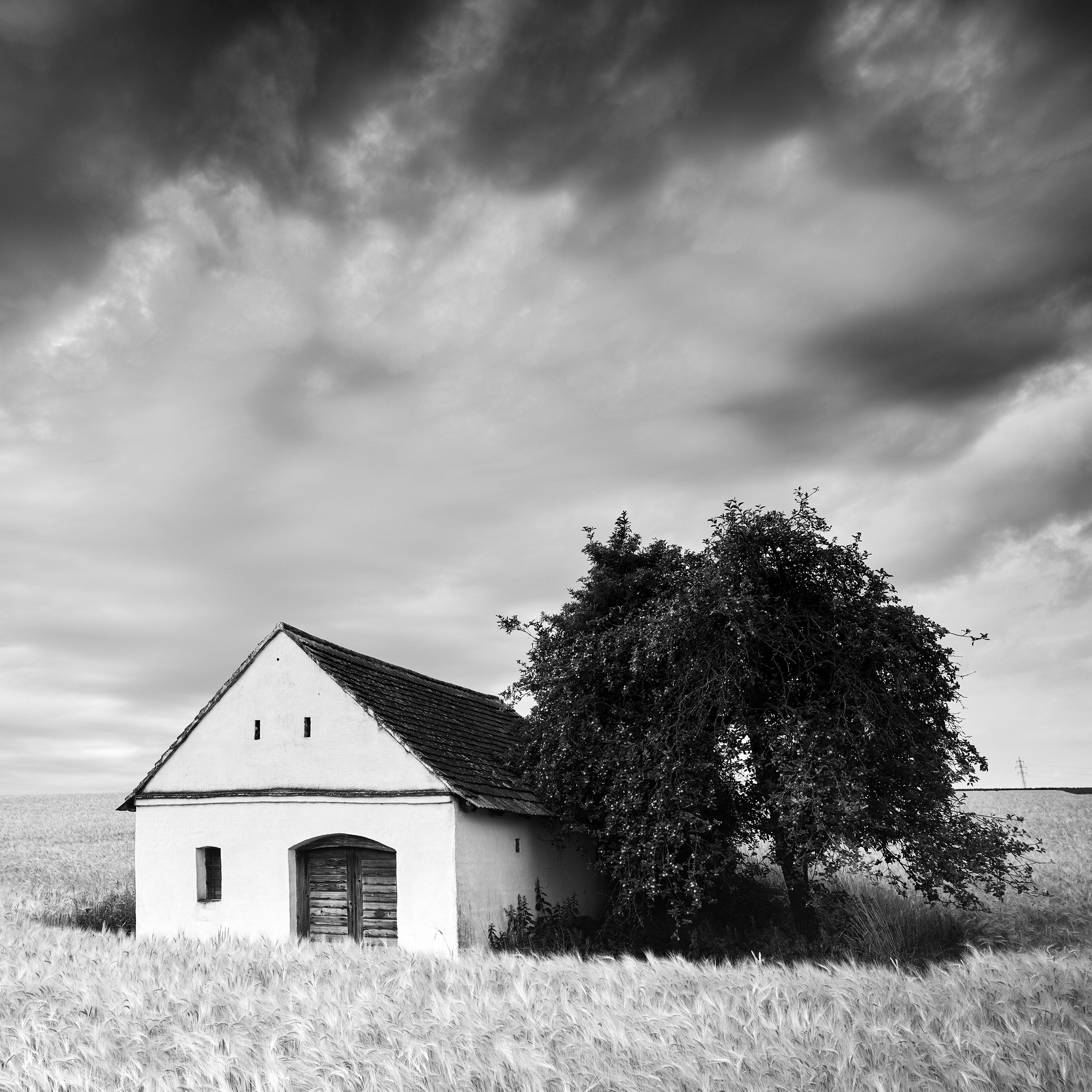 Gerald Berghammer Wine Press House Panorama, Farmland, black and