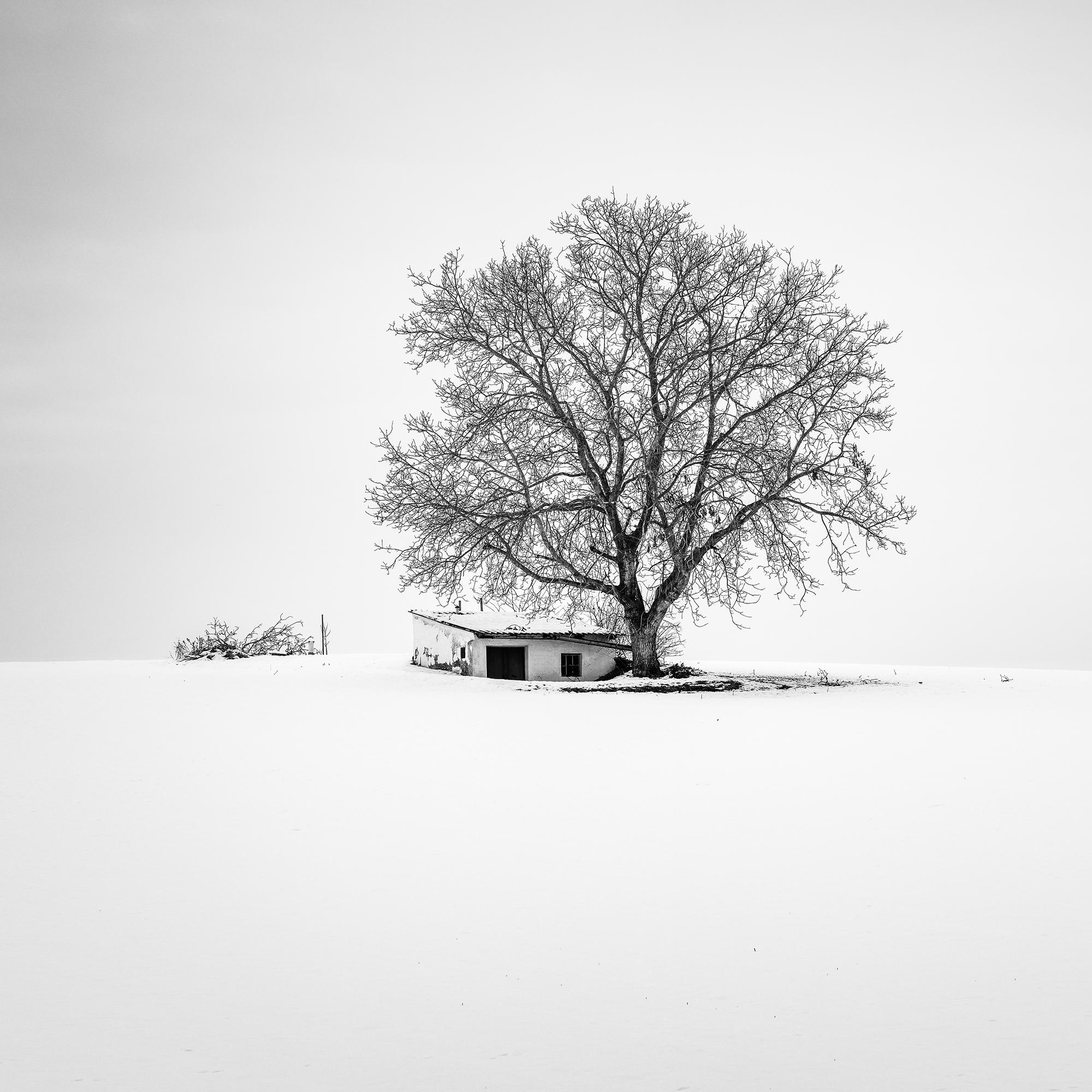 Wine Press House, Schnee, Winter, Schwarz-Weiß-Fotografie in limitierter Auflage im Angebot 5