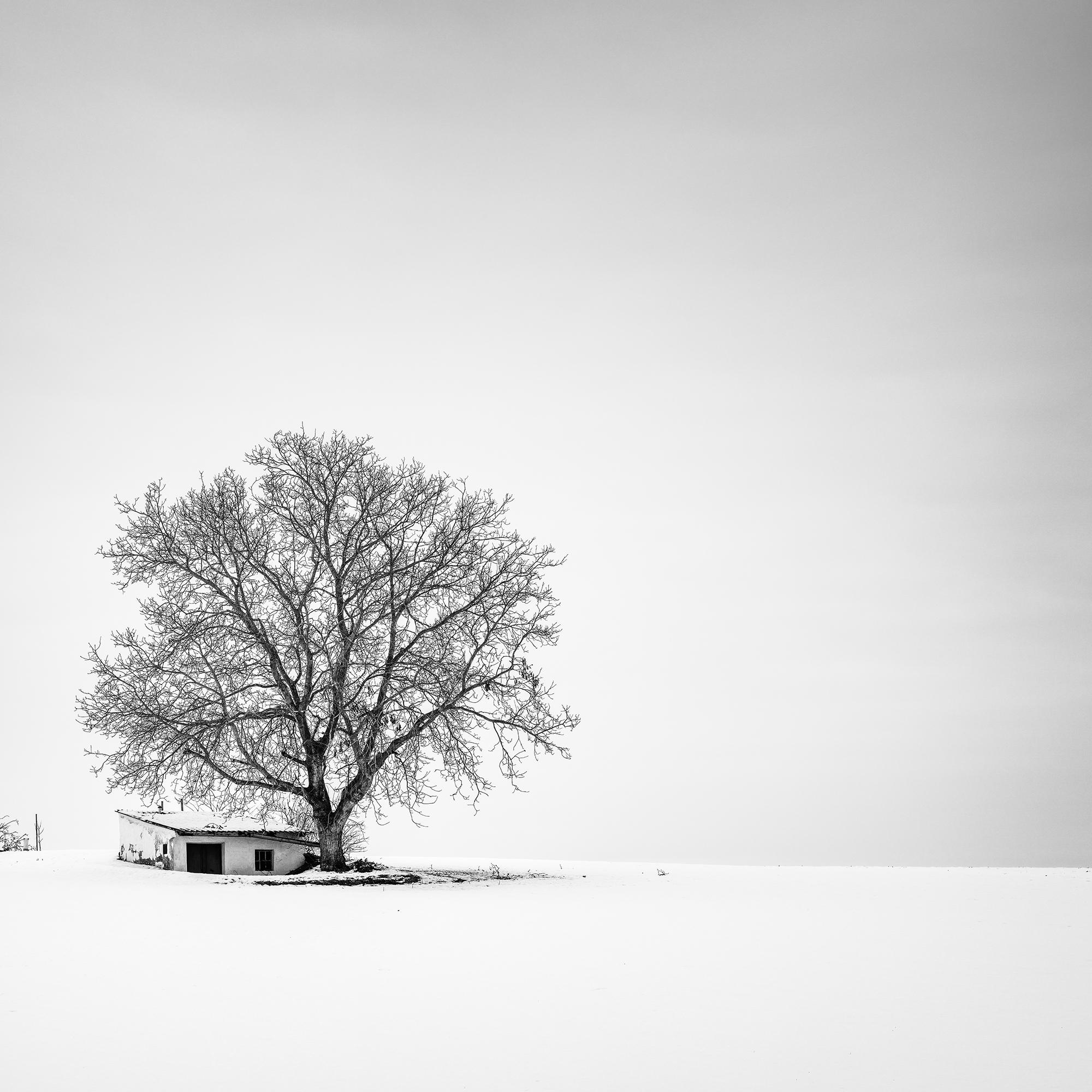 Wine Press House, Schnee, Winter, Schwarz-Weiß-Fotografie in limitierter Auflage im Angebot 6