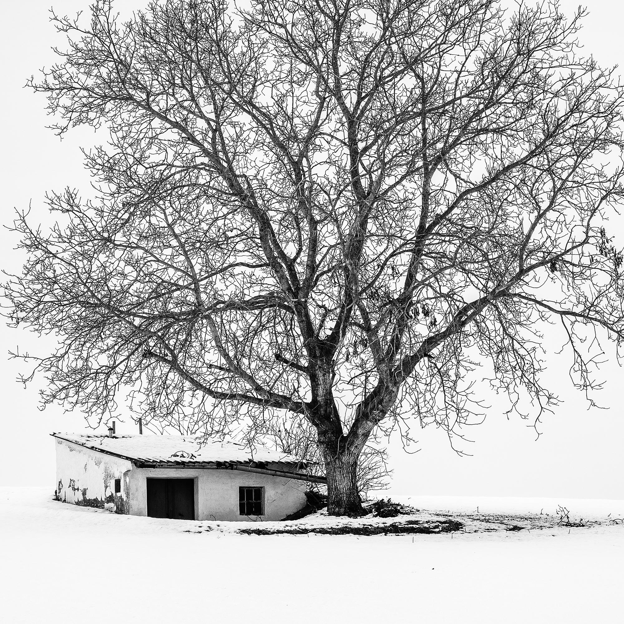 Wine Press House, Schnee, Winter, Schwarz-Weiß-Fotografie in limitierter Auflage im Angebot 7