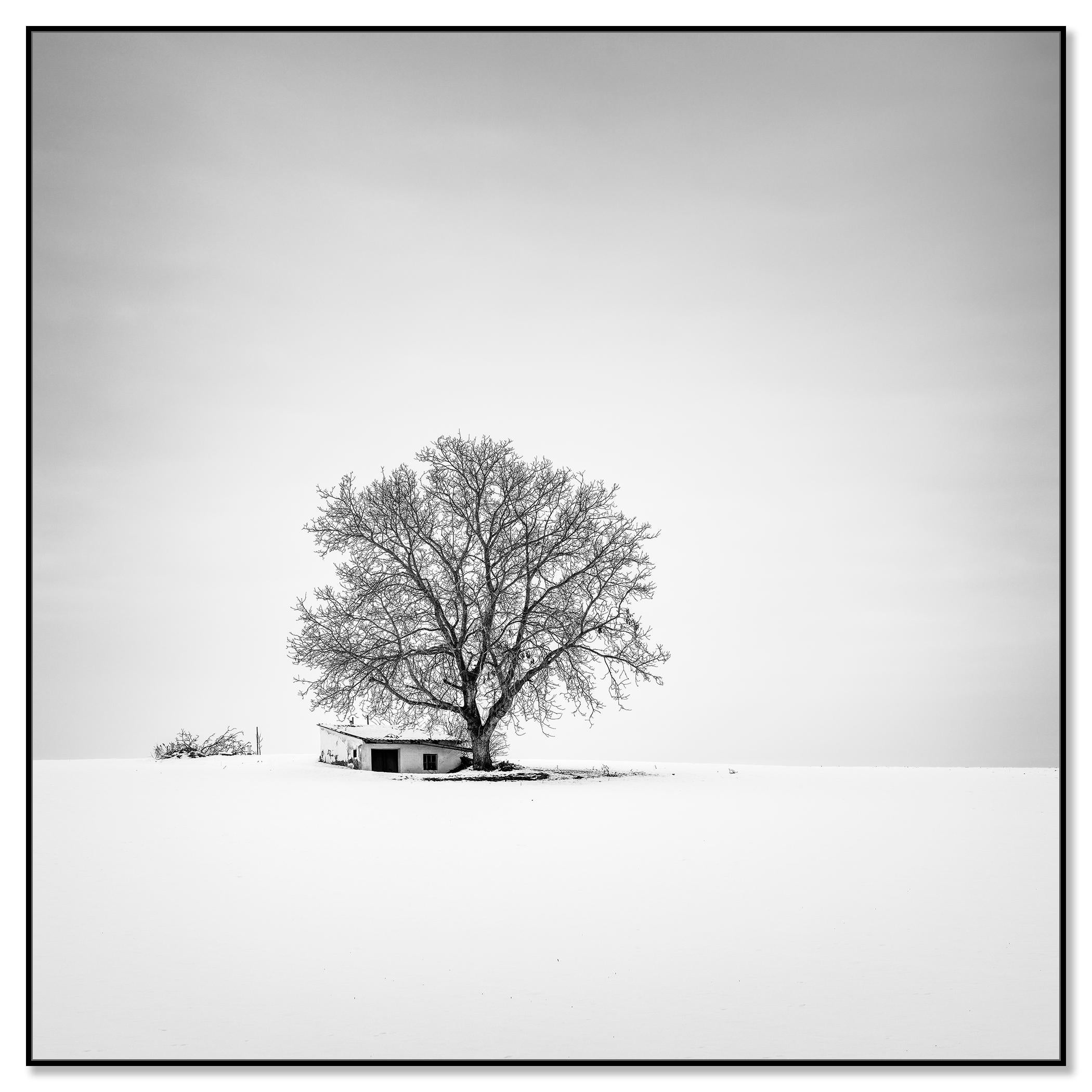 Wine Press House, Schnee, Winter, Schwarz-Weiß-Fotografie in limitierter Auflage – Photograph von Gerald Berghammer