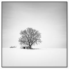 Wine Press House, snow, winter, black and white photography - limited edition