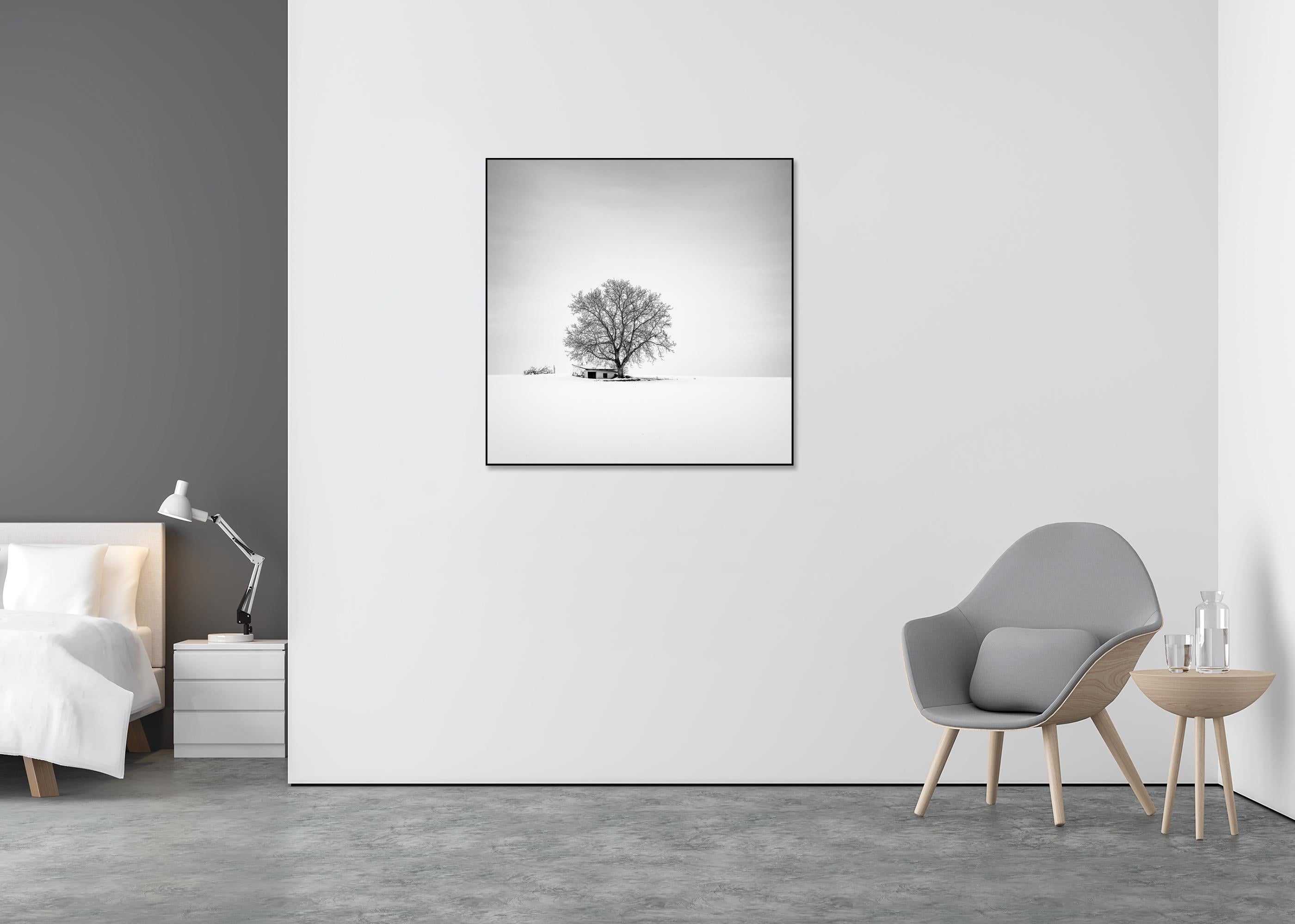 Wine Press House, Schnee, Winter, Schwarz-Weiß-Fotografie in limitierter Auflage (Grau), Black and White Photograph, von Gerald Berghammer