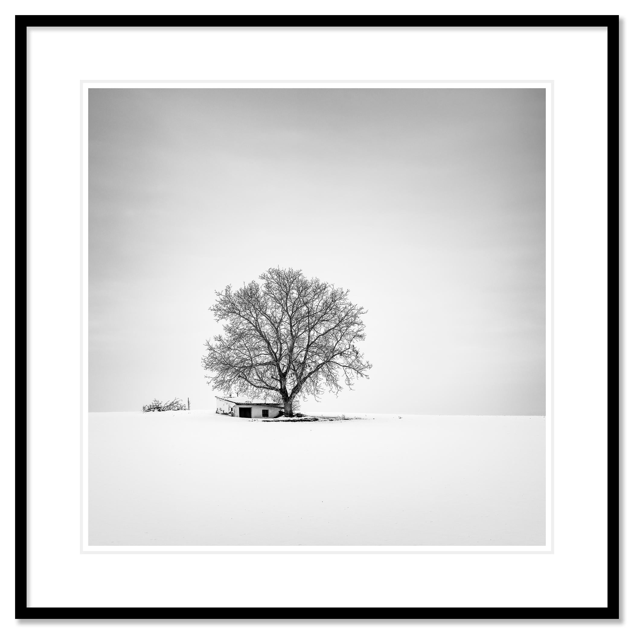 Schwarz-Weiß-Landschaftsfotografie. Kelterhaus mit Baum in verschneitem Feld, Winter, Weinviertel, Österreich. Pigmenttintendruck, Auflage 7, signiert, betitelt, datiert und nummeriert vom Künstler. Mit Echtheitszertifikat. Bedruckt mit einem 4 cm