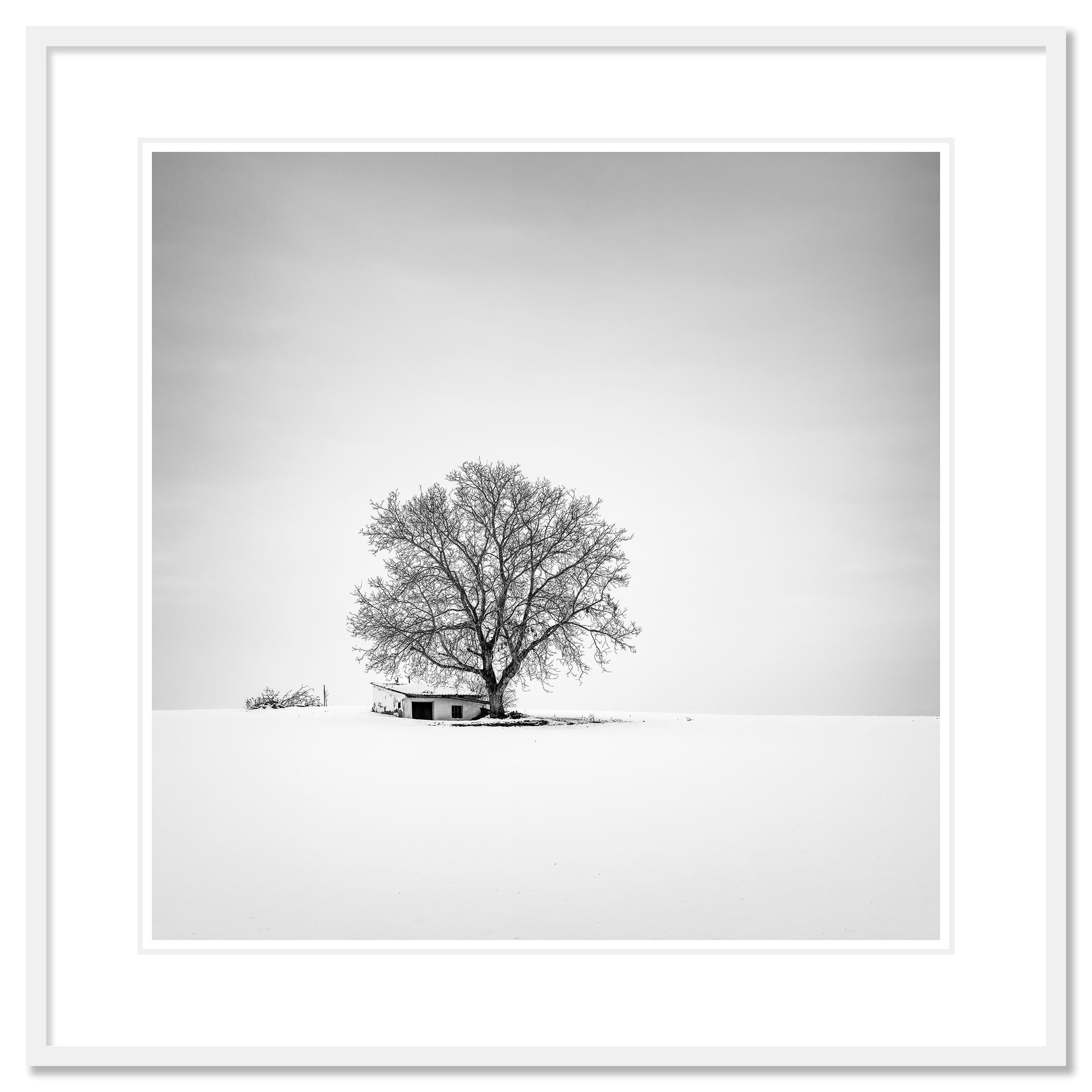Wine Press House, Schnee, Winter, Schwarz-Weiß-Fotografie in limitierter Auflage im Angebot 1