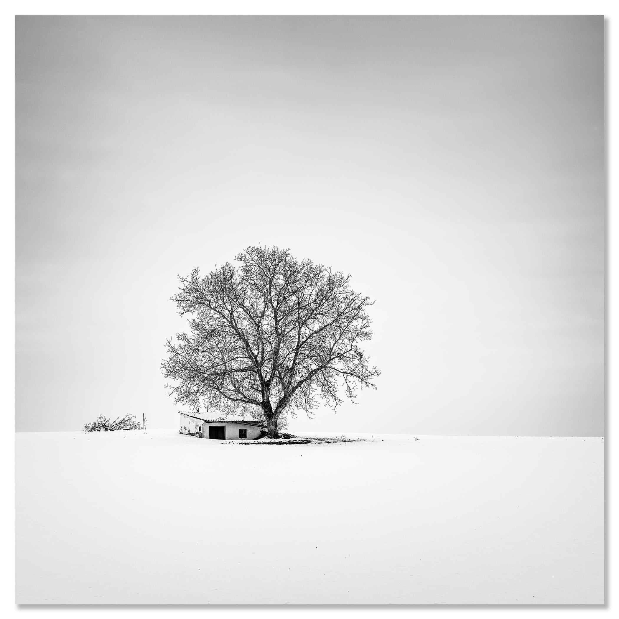 Wine Press House, Schnee, Winter, Schwarz-Weiß-Fotografie in limitierter Auflage im Angebot 3