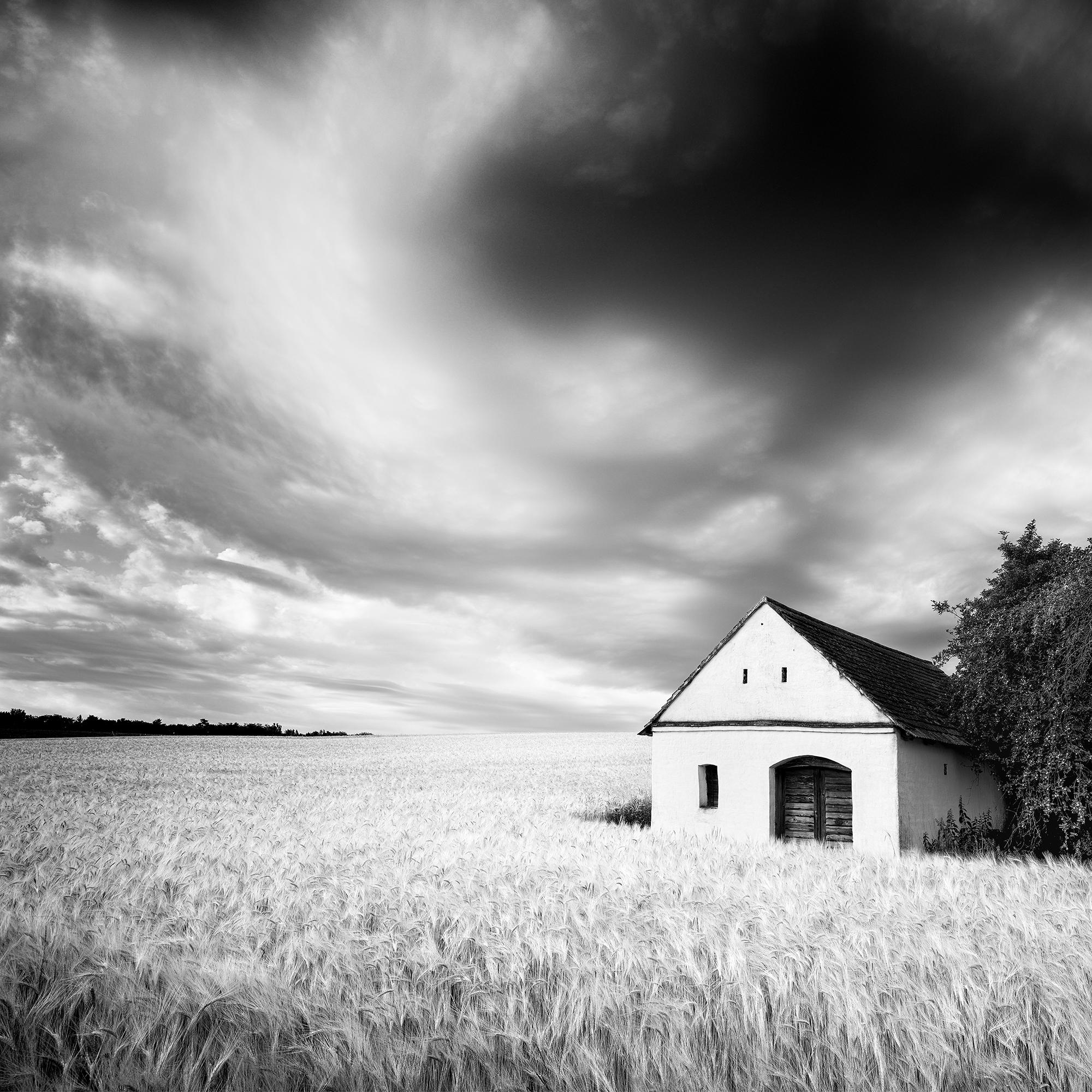 Maison du pressoir, champ de blé, nuages lourds, photographie de paysage en noir et blanc en vente 5
