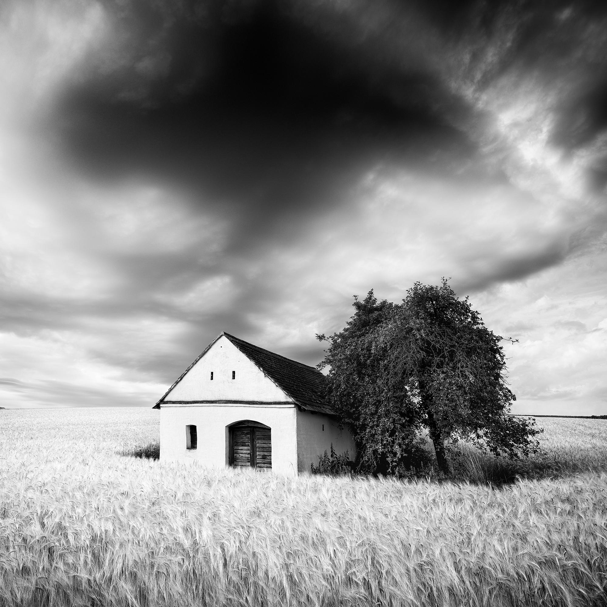 Maison du pressoir, champ de blé, nuages lourds, photographie de paysage en noir et blanc en vente 6