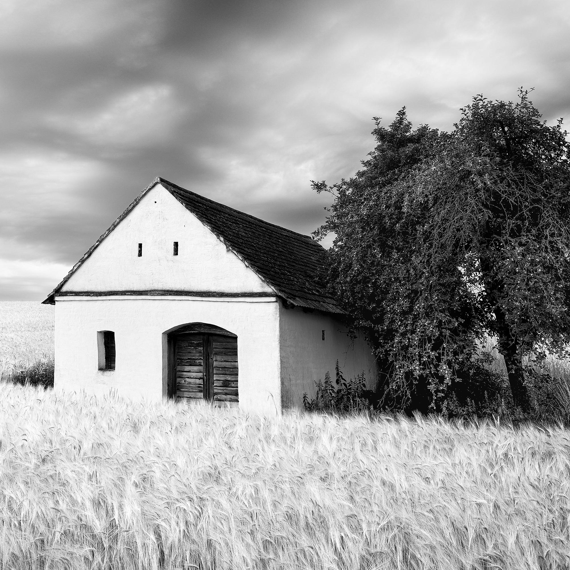 Maison du pressoir, champ de blé, nuages lourds, photographie de paysage en noir et blanc en vente 7