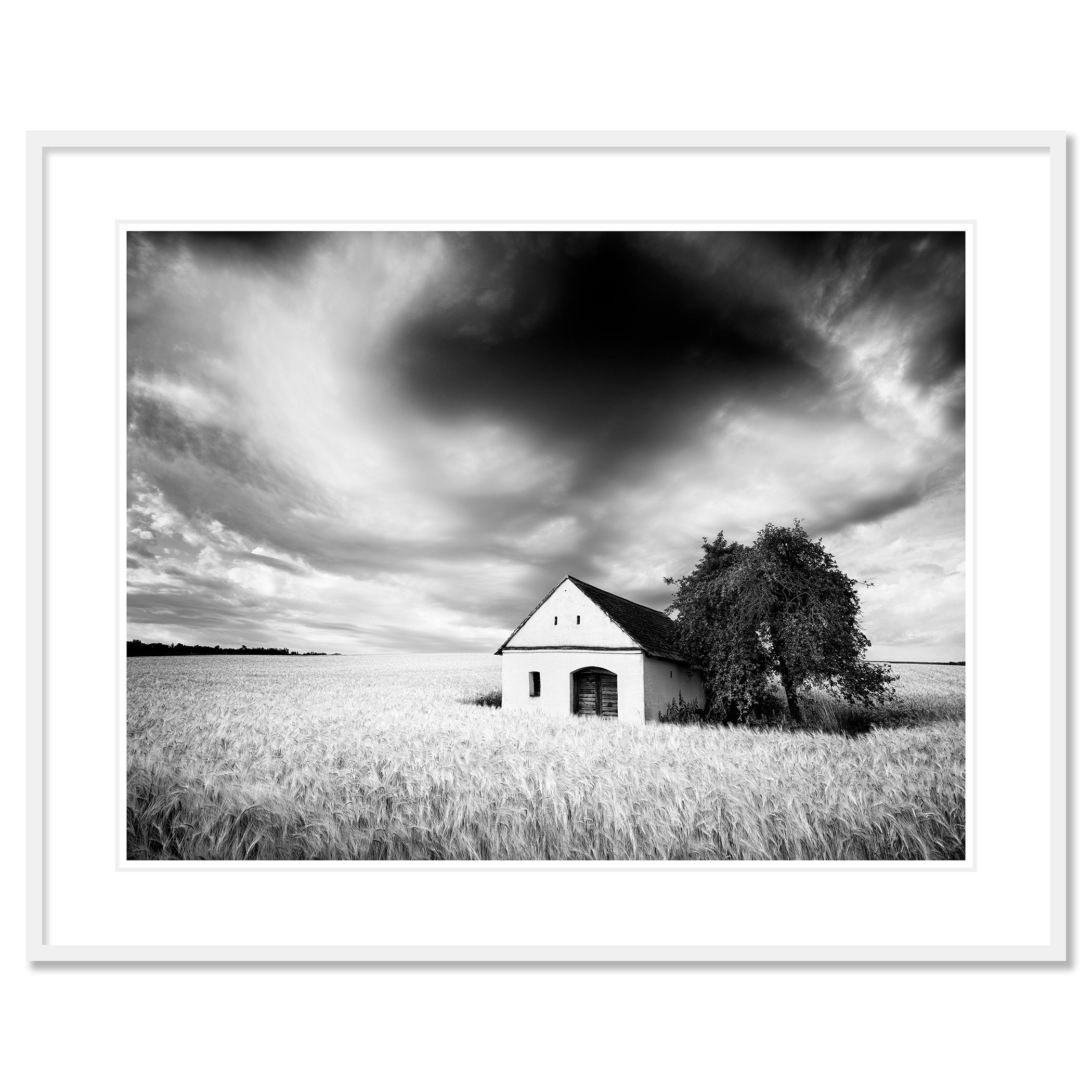 Photographie de paysage en noir et blanc. Pressoir à vin dans un champ de blé, nuages lourds, orage, Autriche. Épreuve à l'encre pigmentaire d'archives, édition de 8 exemplaires. Signée, titrée, datée et numérotée par l'artiste. Certificat