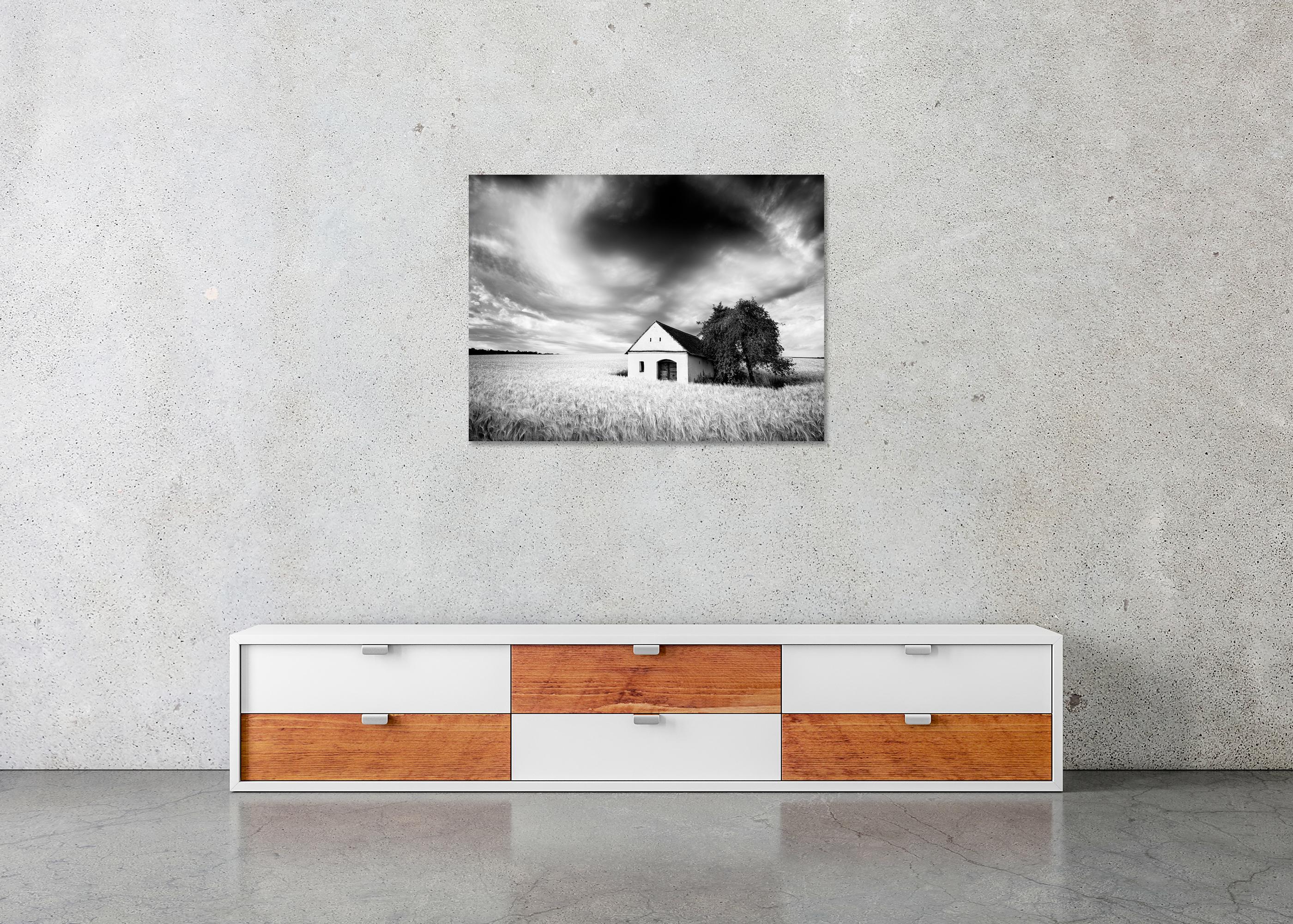 Maison du pressoir, champ de blé, nuages lourds, photographie de paysage en noir et blanc en vente 4