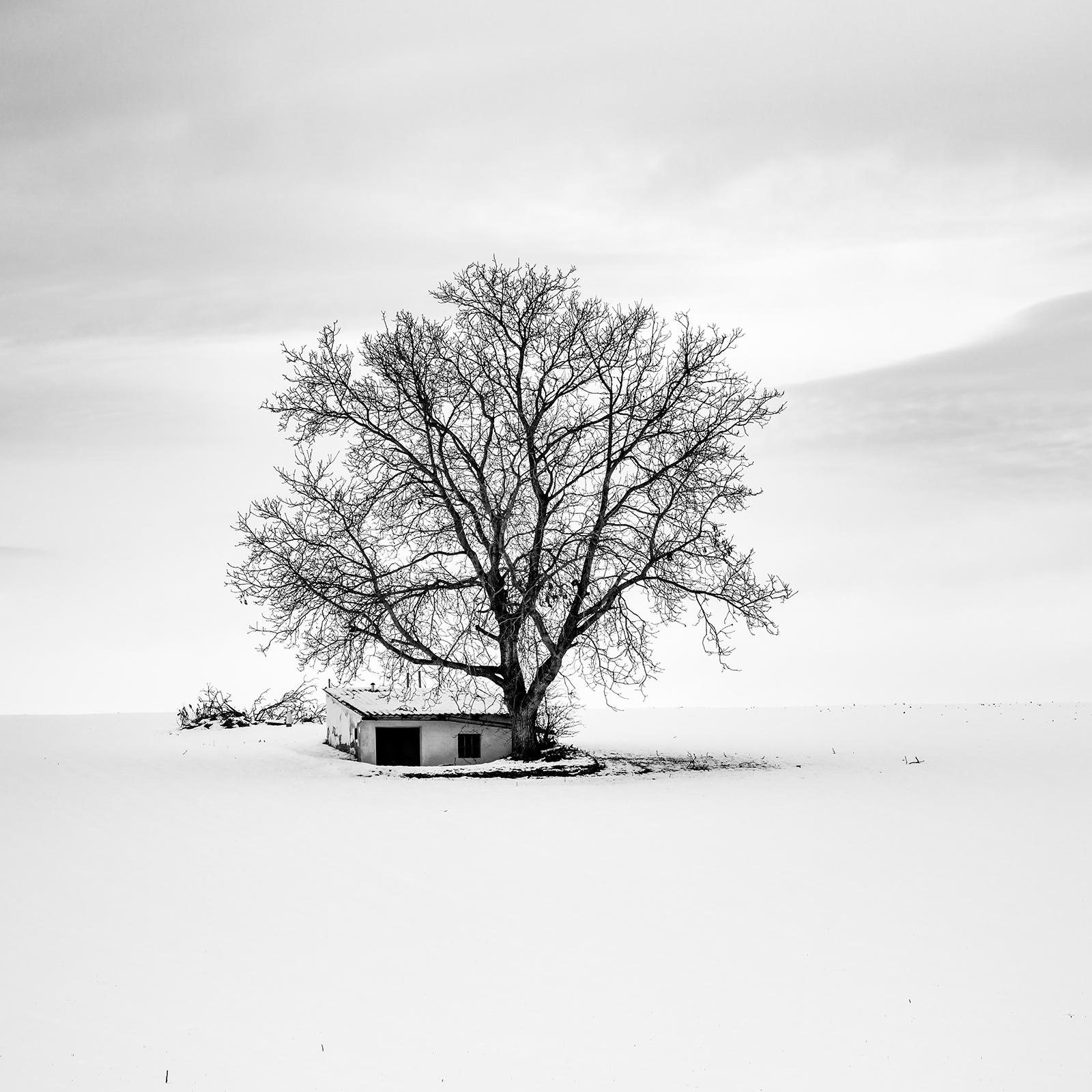 Wine Press House, winter, snow, black and white fine art landscape photography For Sale 3