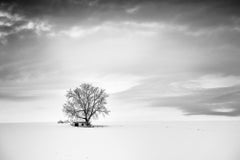 Wine Press House Winter, snow, Austria, black and white landscape photography