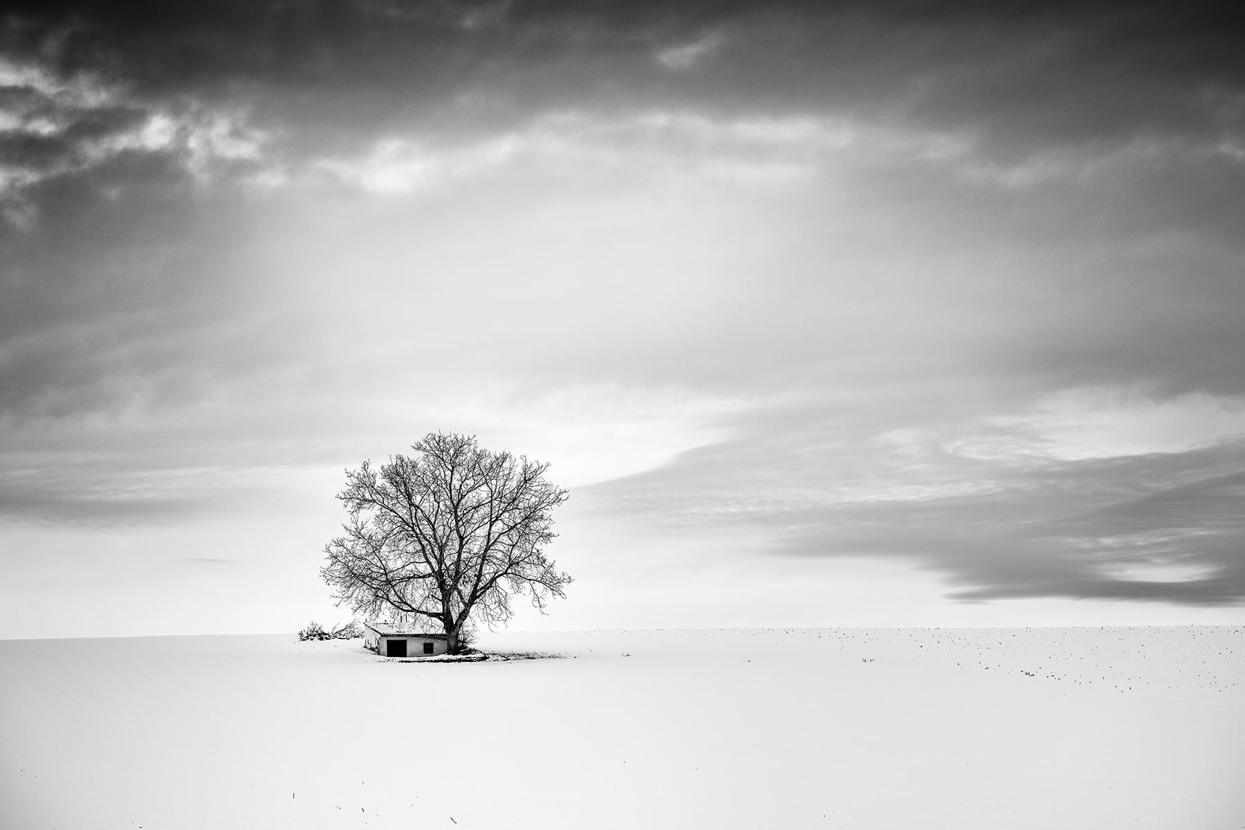 Gerald Berghammer Black and White Photograph - Wine Press House, winter, snow, black and white fine art landscape photography