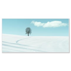 Sentiero invernale verso l’albero solitario, paesaggio innevato minimalista, stampa in edizione limitata