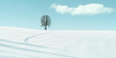 Sentiero invernale verso l’albero solitario, paesaggio innevato minimalista, stampa in edizione limitata