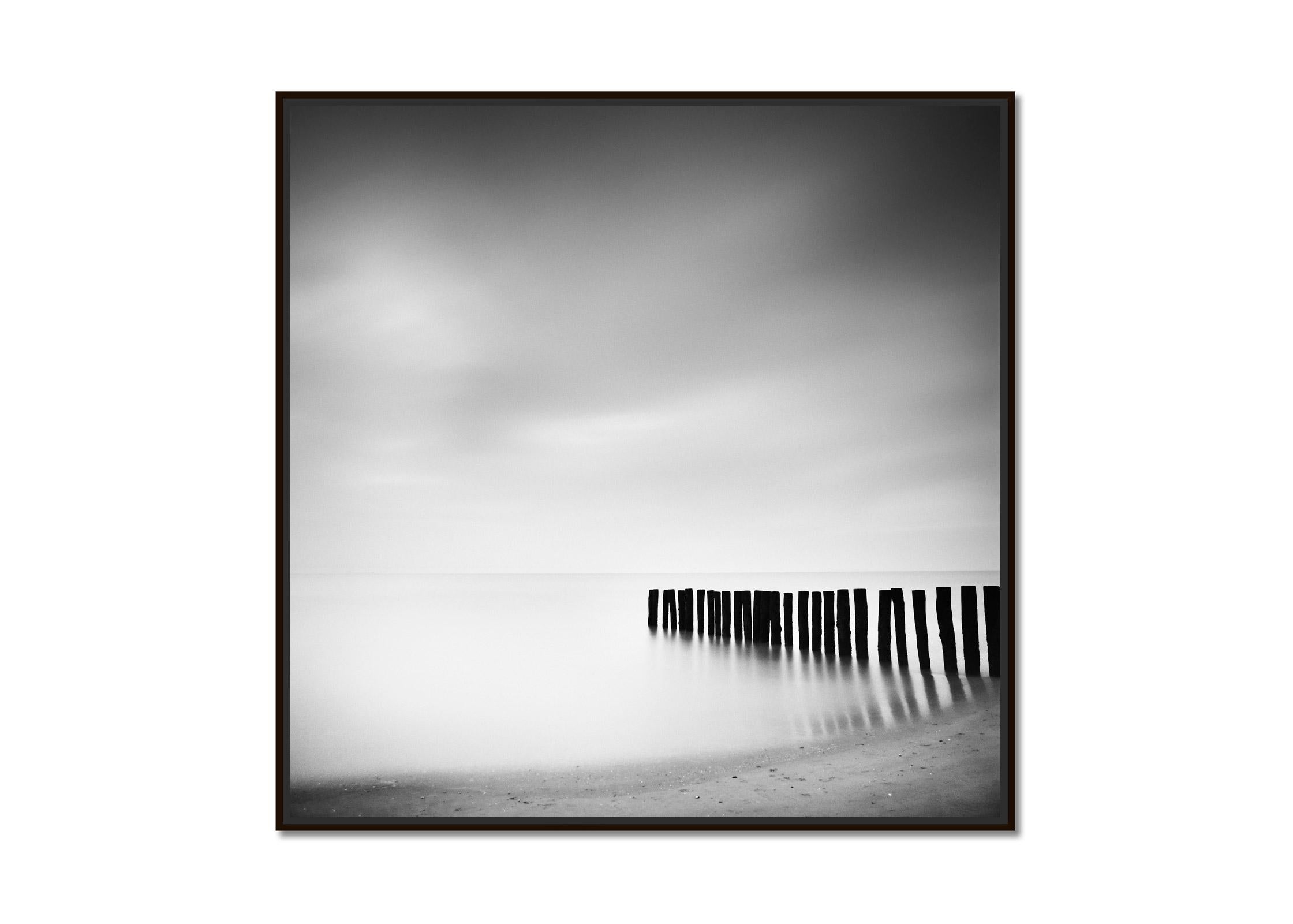Wood Stakes, Netherlands, Black and White waterscape long exposure photography - Photograph by Gerald Berghammer