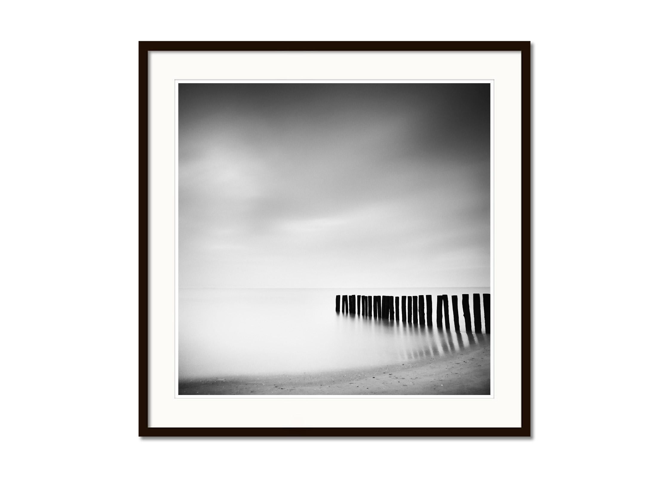 Wood Stakes, Netherlands, Black and White waterscape long exposure photography - Gray Landscape Photograph by Gerald Berghammer