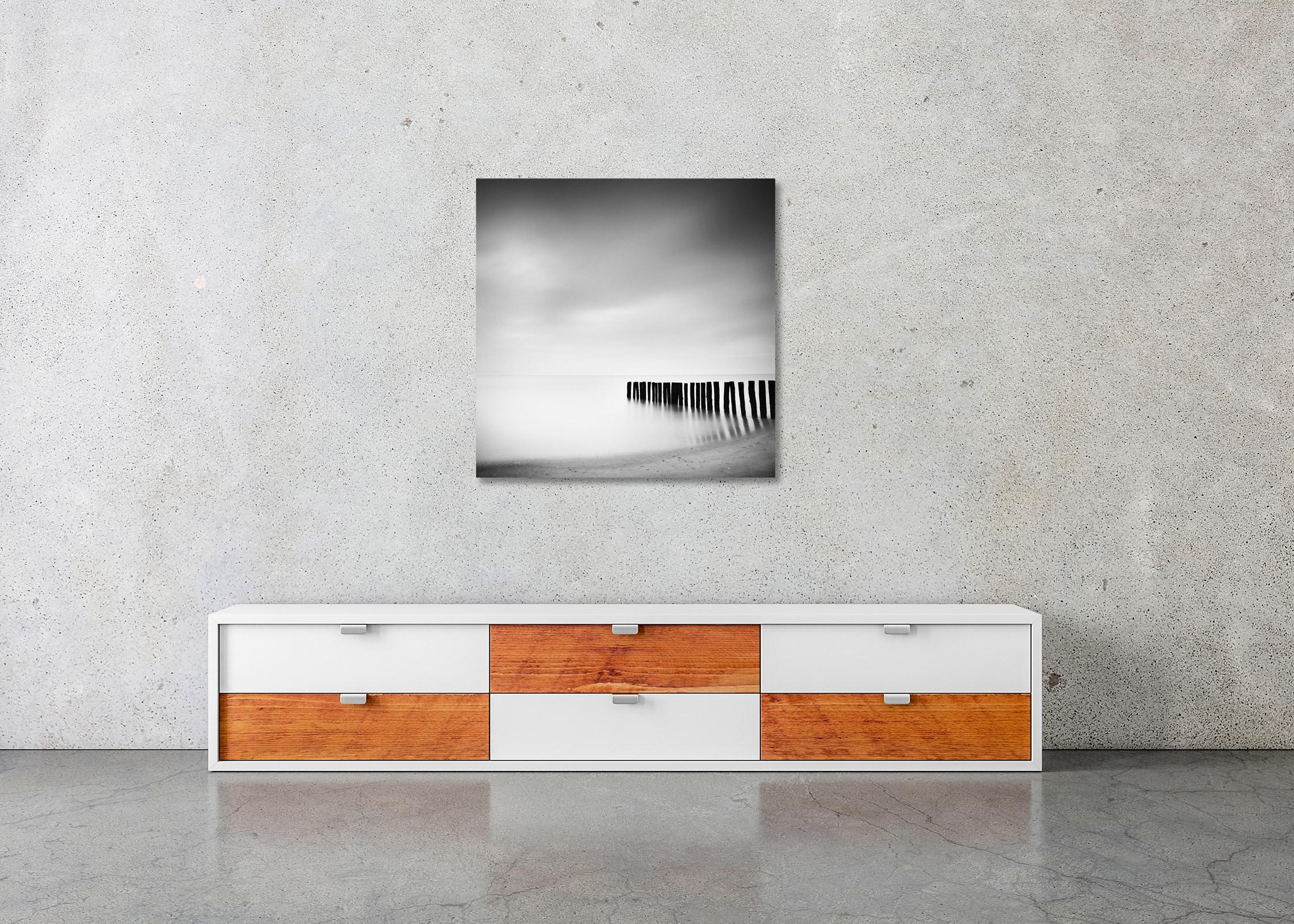 Wood Stakes, Netherlands, Black and White waterscape long exposure photography For Sale 2