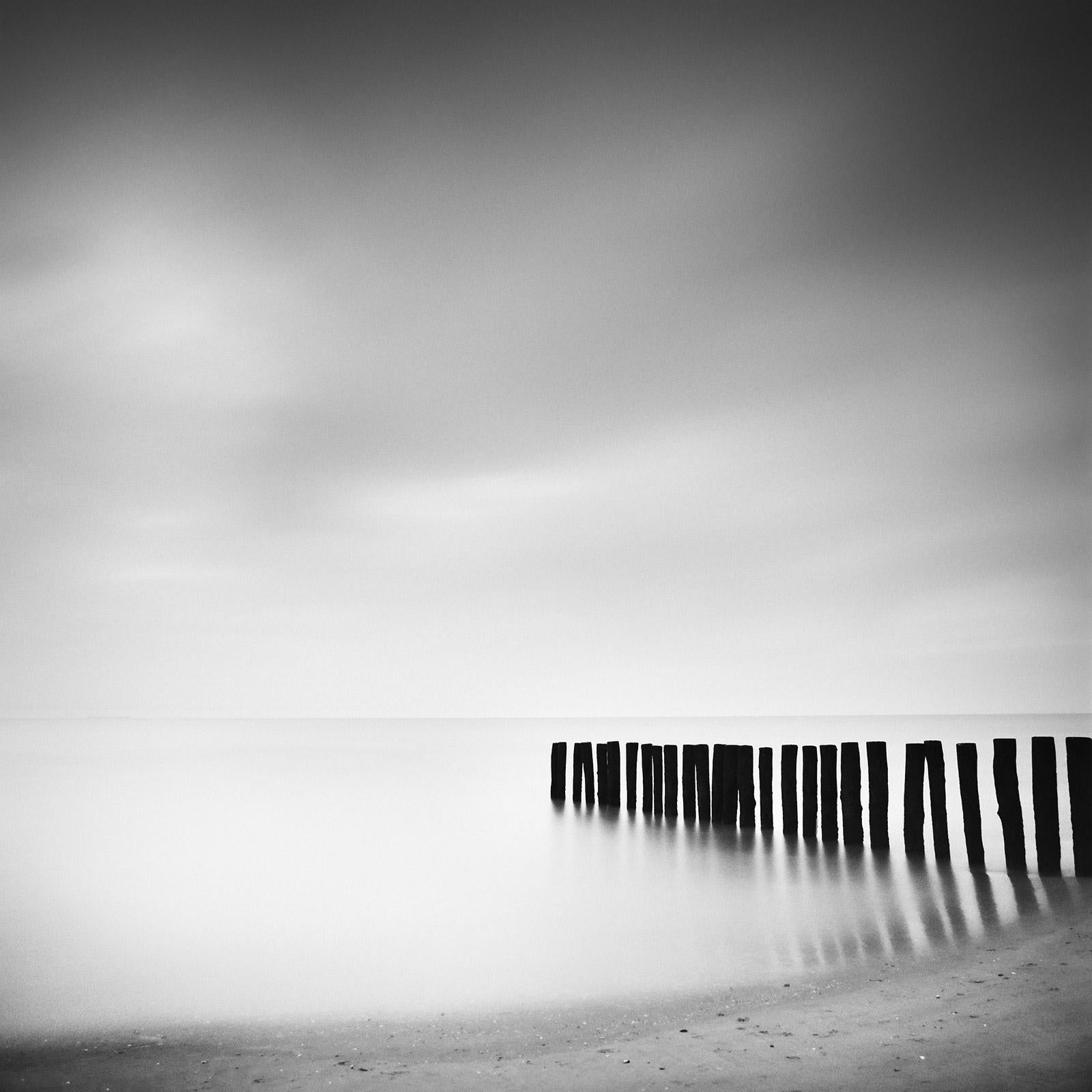 Gerald Berghammer Landscape Photograph - Wood Stakes, Netherlands, Black and White waterscape long exposure photography