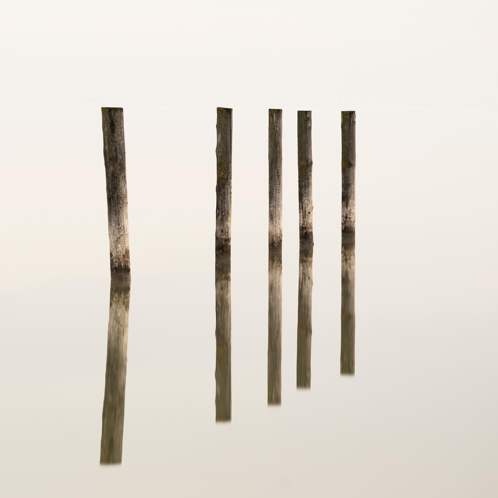 Wooden Pegs in the Lake, Farbfotografie, limitierte Auflage, Meereslandschaft, Landschaft im Angebot 3