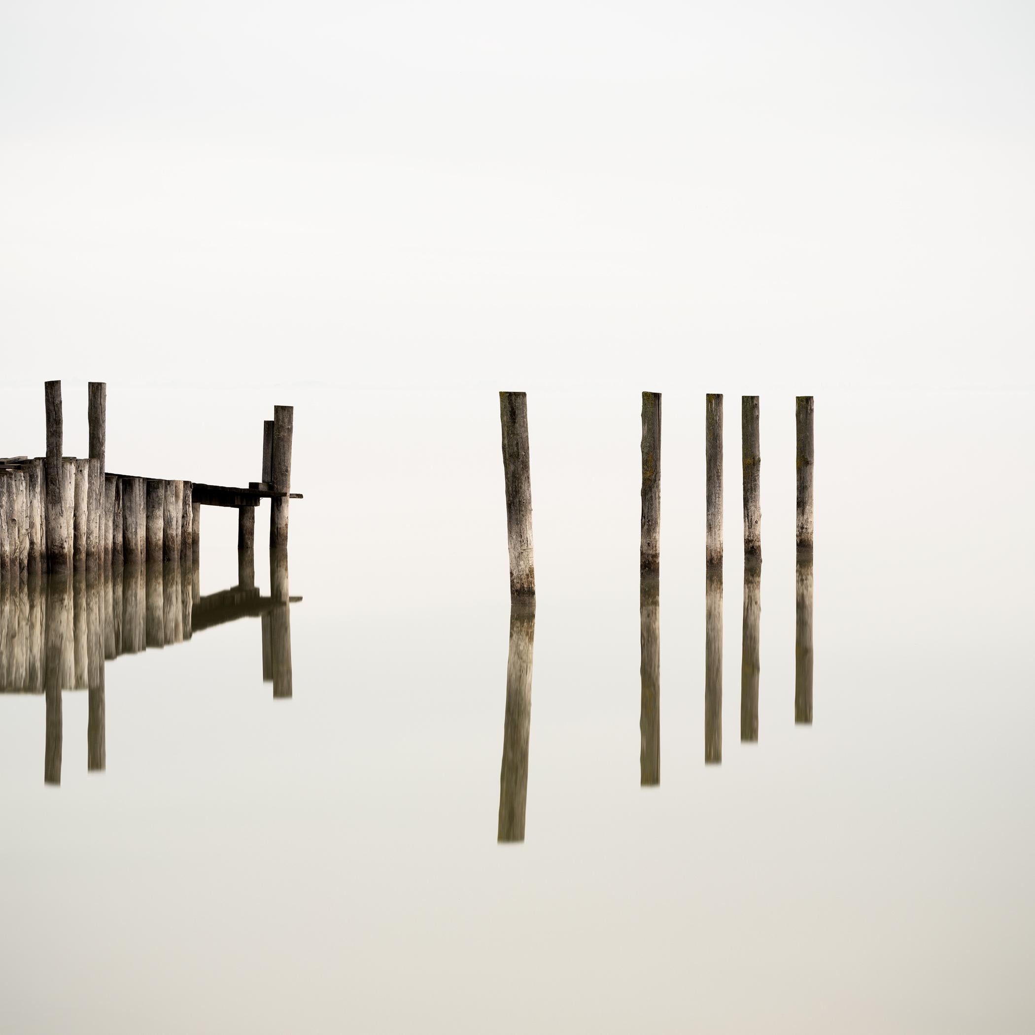 Wooden Pegs in the Lake, photographie couleur, édition limitée, paysage marin, paysage terrestre