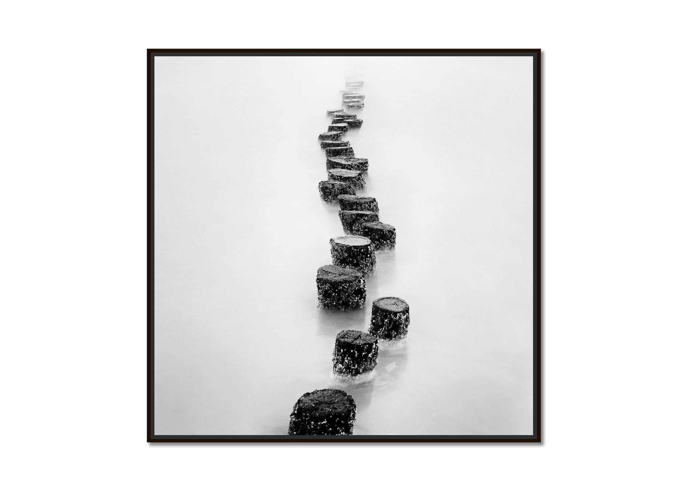 Wooden Pegs, long exposure, black and white, fine art, waterscape, photography - Photograph by Gerald Berghammer
