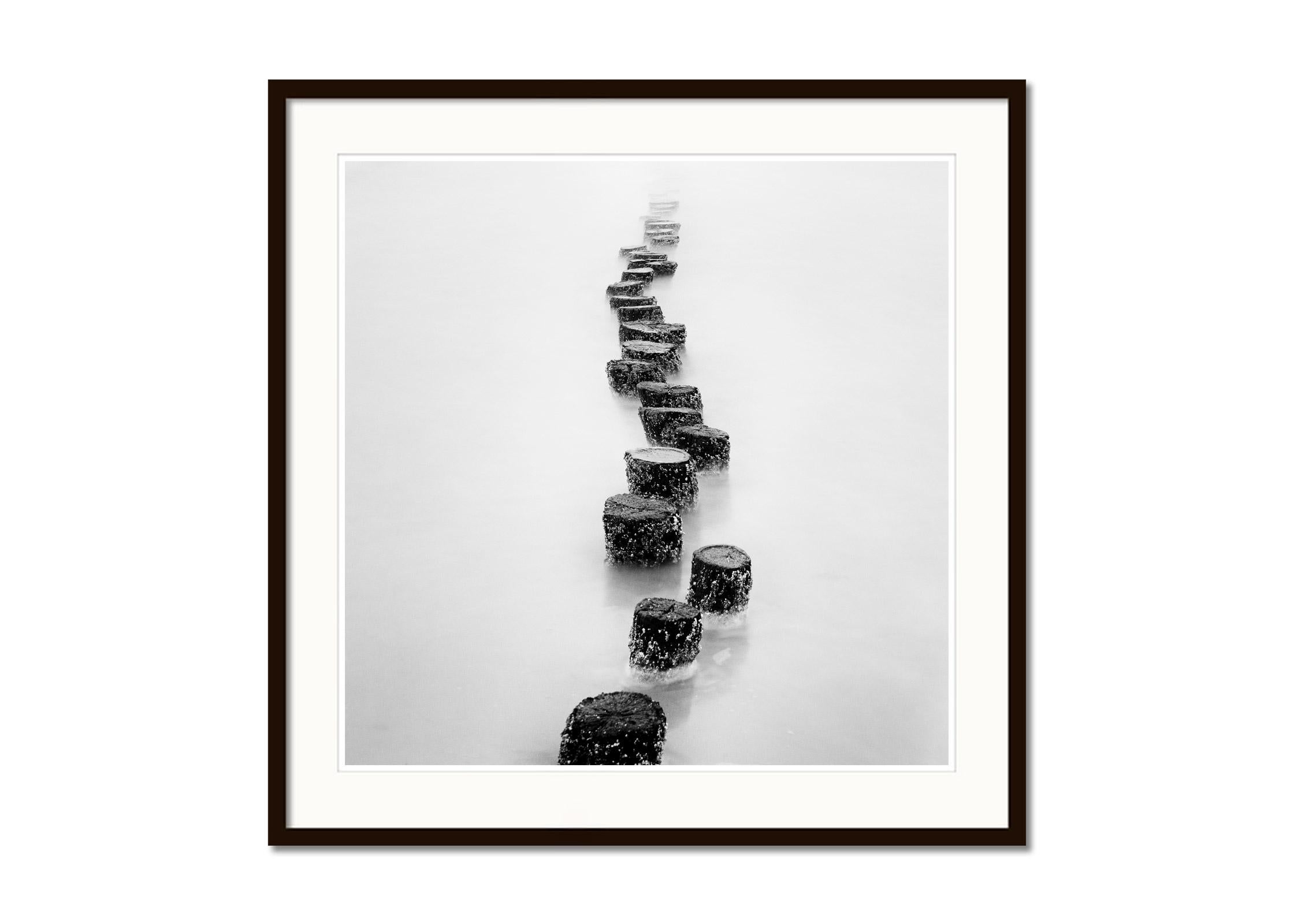 Wooden Pegs, long exposure, black and white, fine art, waterscape, photography - Gray Landscape Photograph by Gerald Berghammer
