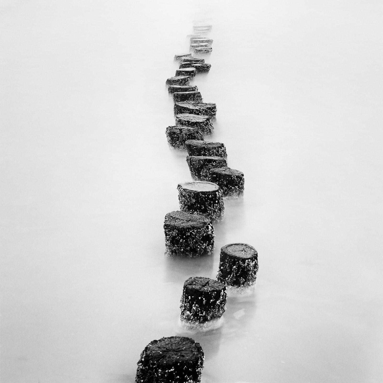 Gerald Berghammer Landscape Photograph - Wooden Pegs, long exposure, black and white, fine art, waterscape, photography