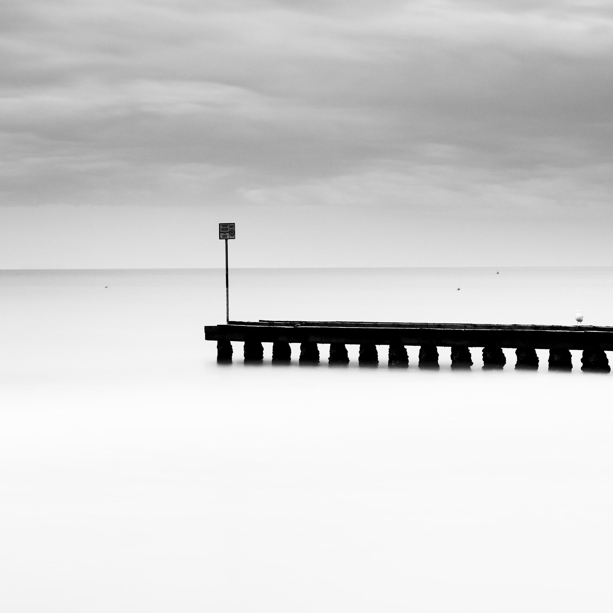 Wooden Pier in the Sea, Panorama, stormy Weather, black and white landscape For Sale 2