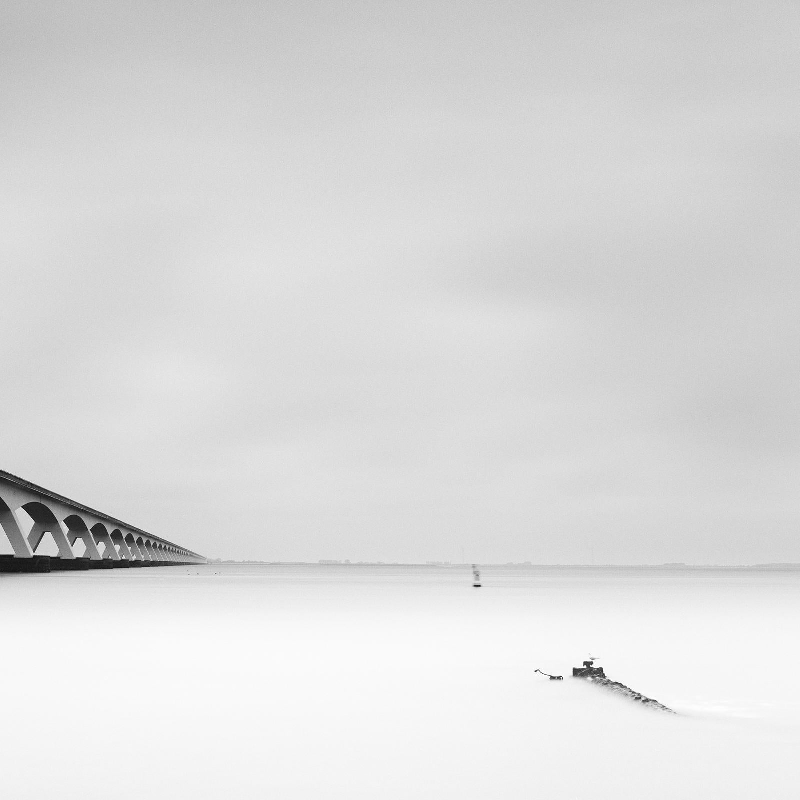 Zeeland Bridge Panorama, Netherlands, black & white photograph, limited edition For Sale 4
