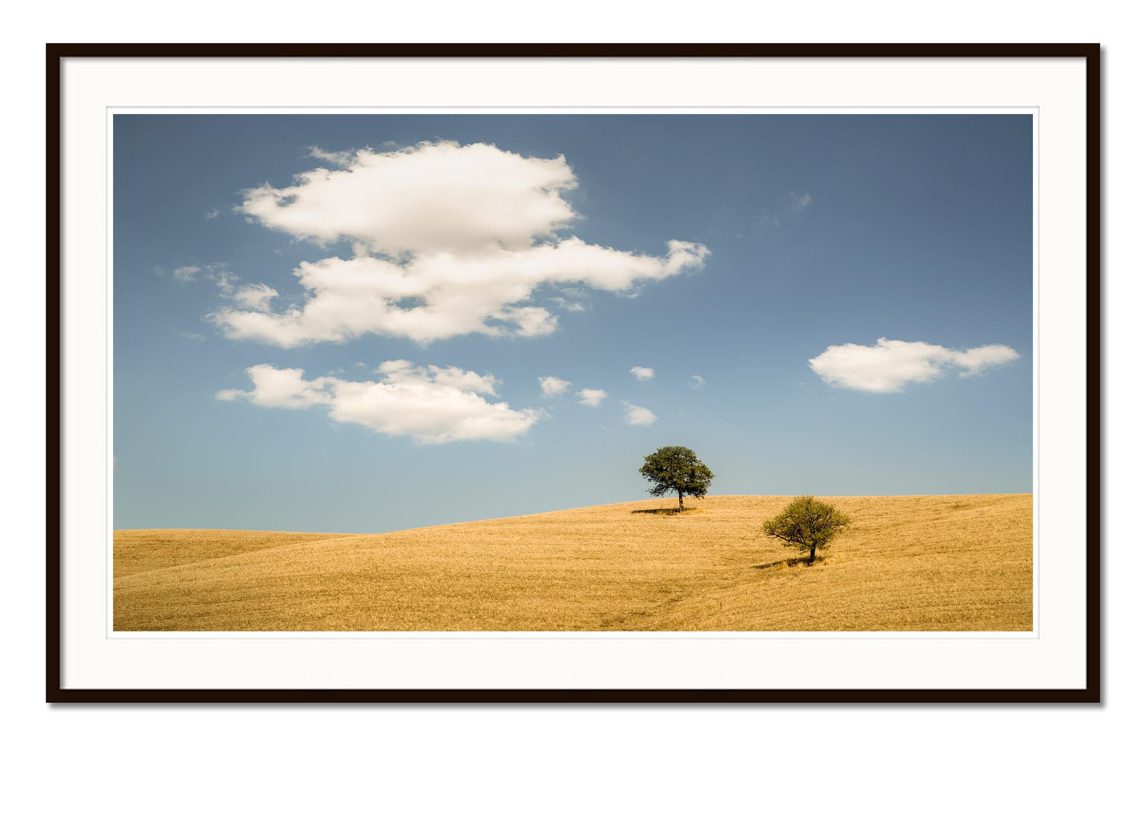 Rolling hills with Trees #2, Tuscany, Italy, Colour art photography, landscape - Gray Landscape Photograph by Gerald Berghammer