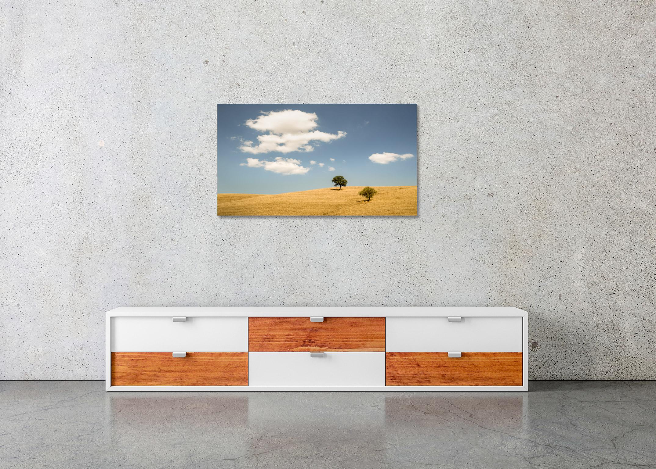 Rolling hills with Trees #2, Tuscany, Italy, Colour art photography, landscape For Sale 2