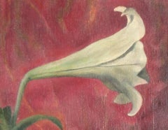 Weiße weiße Lilien