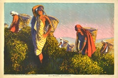 Original Antique Poster Tea Picking In Ceylon Sri Lanka Empire Marketing Board