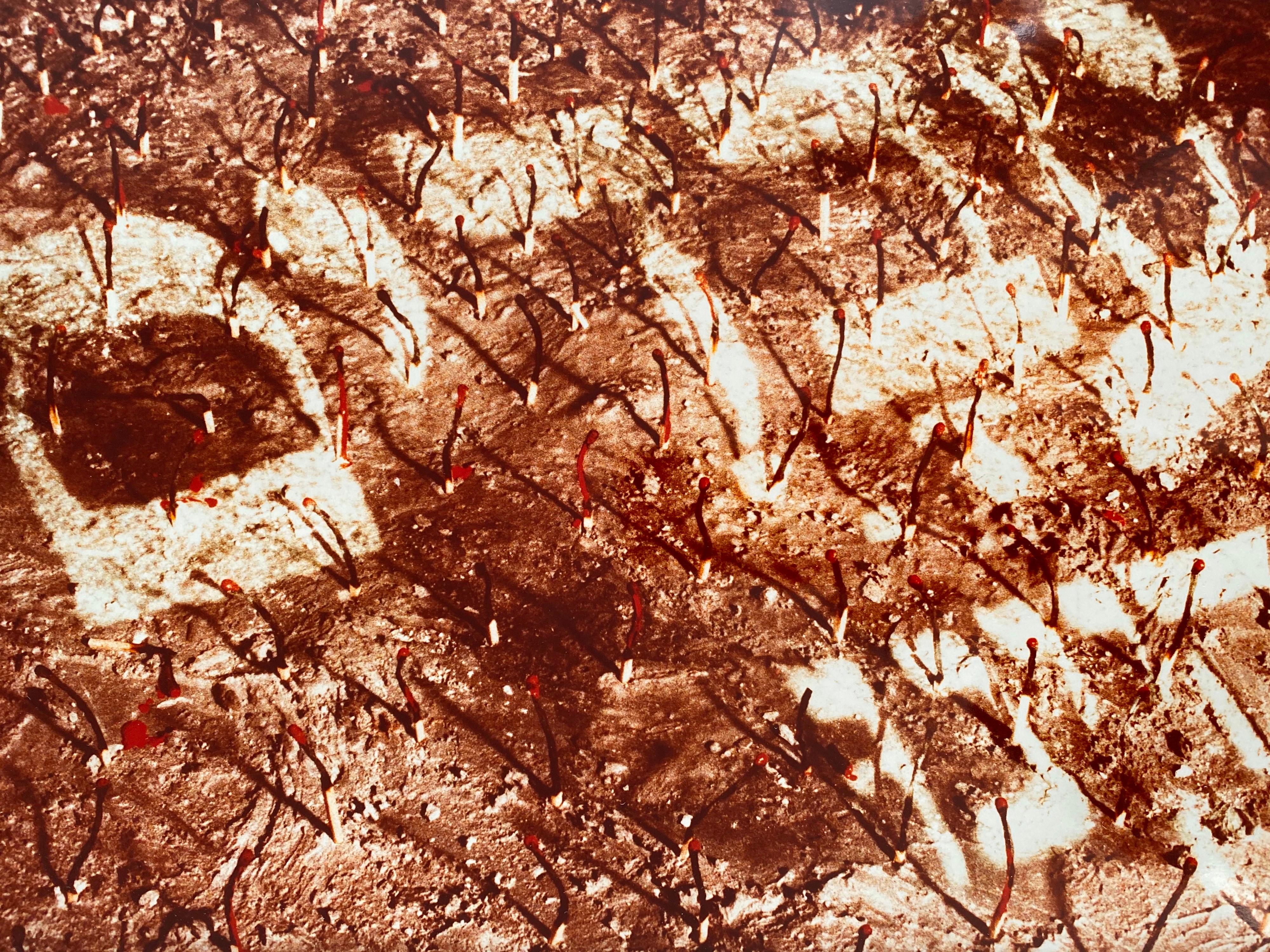 Vintage Color Photograph Hebrew 