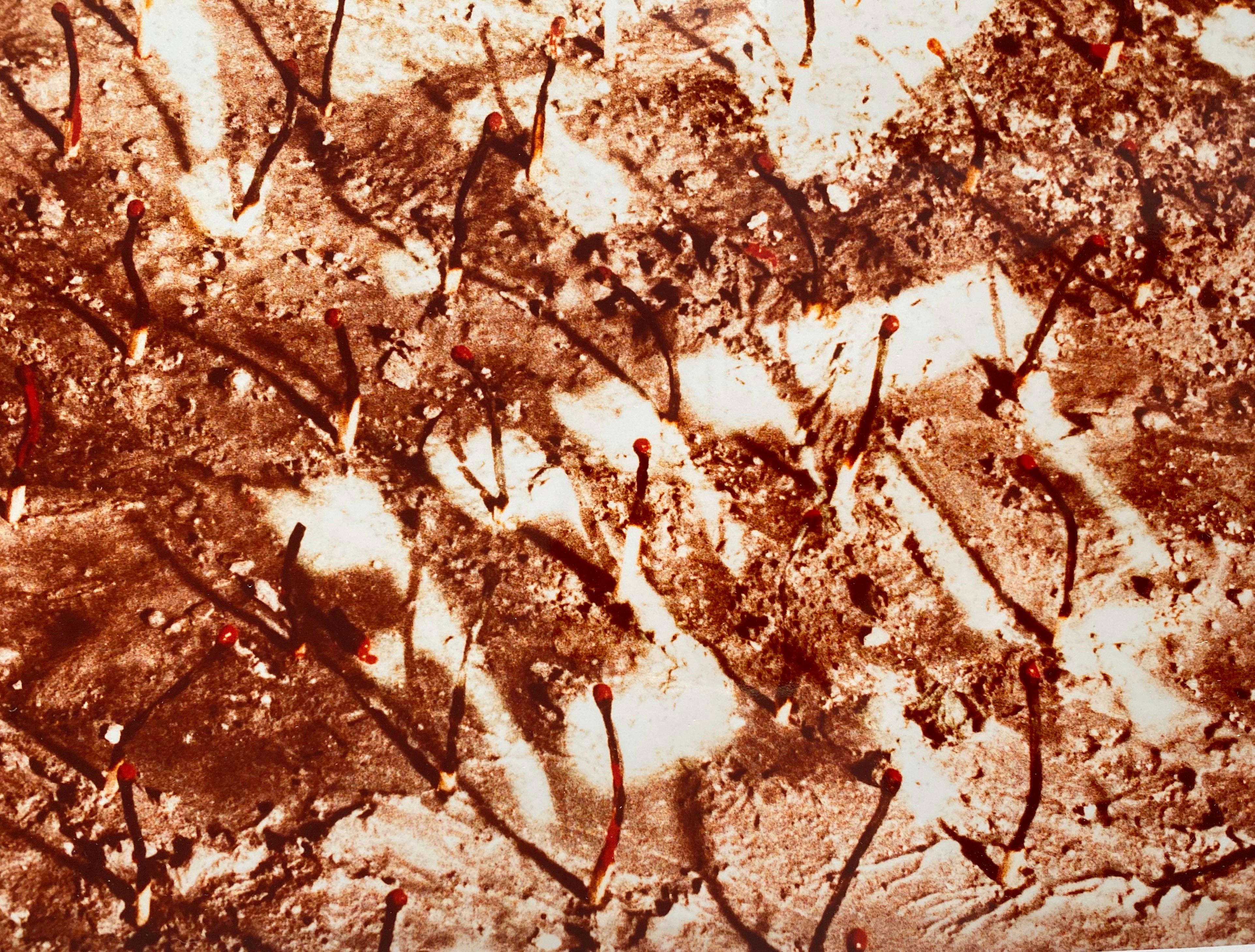 Vintage Color Photograph Hebrew 