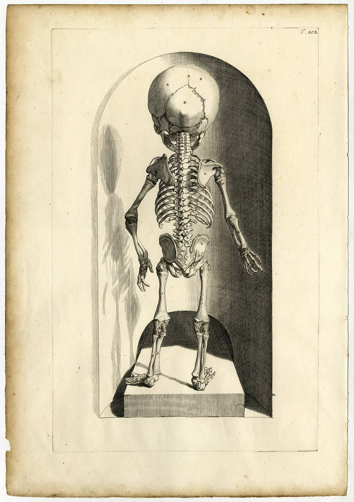 Tab.101-102. Tabula Centesimaprima & secunda [...]. - Print by Gerard de Lairesse