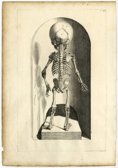 Tab.101-102. Tabula Centesimaprima & secunda [...].