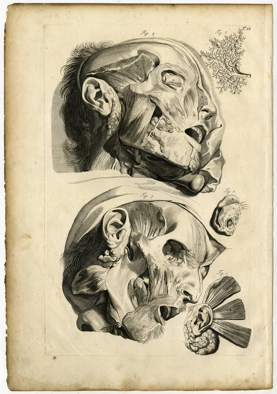 Gerard de Lairesse Print - Tab.12. Tabula Duodecimae [...].