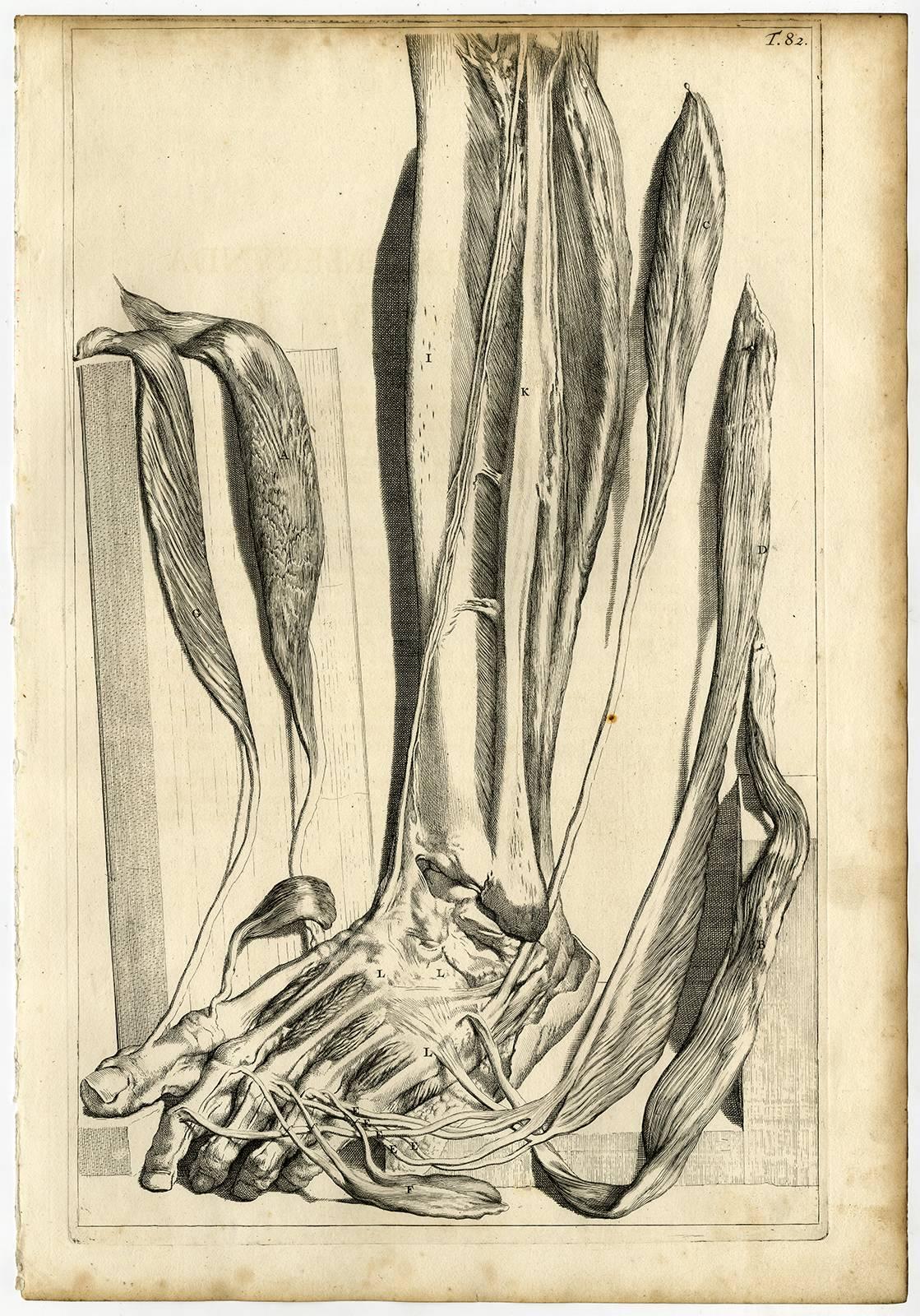 Gerard de Lairesse Print - Tab.82. Tabula Octuagesimasecunda [...].