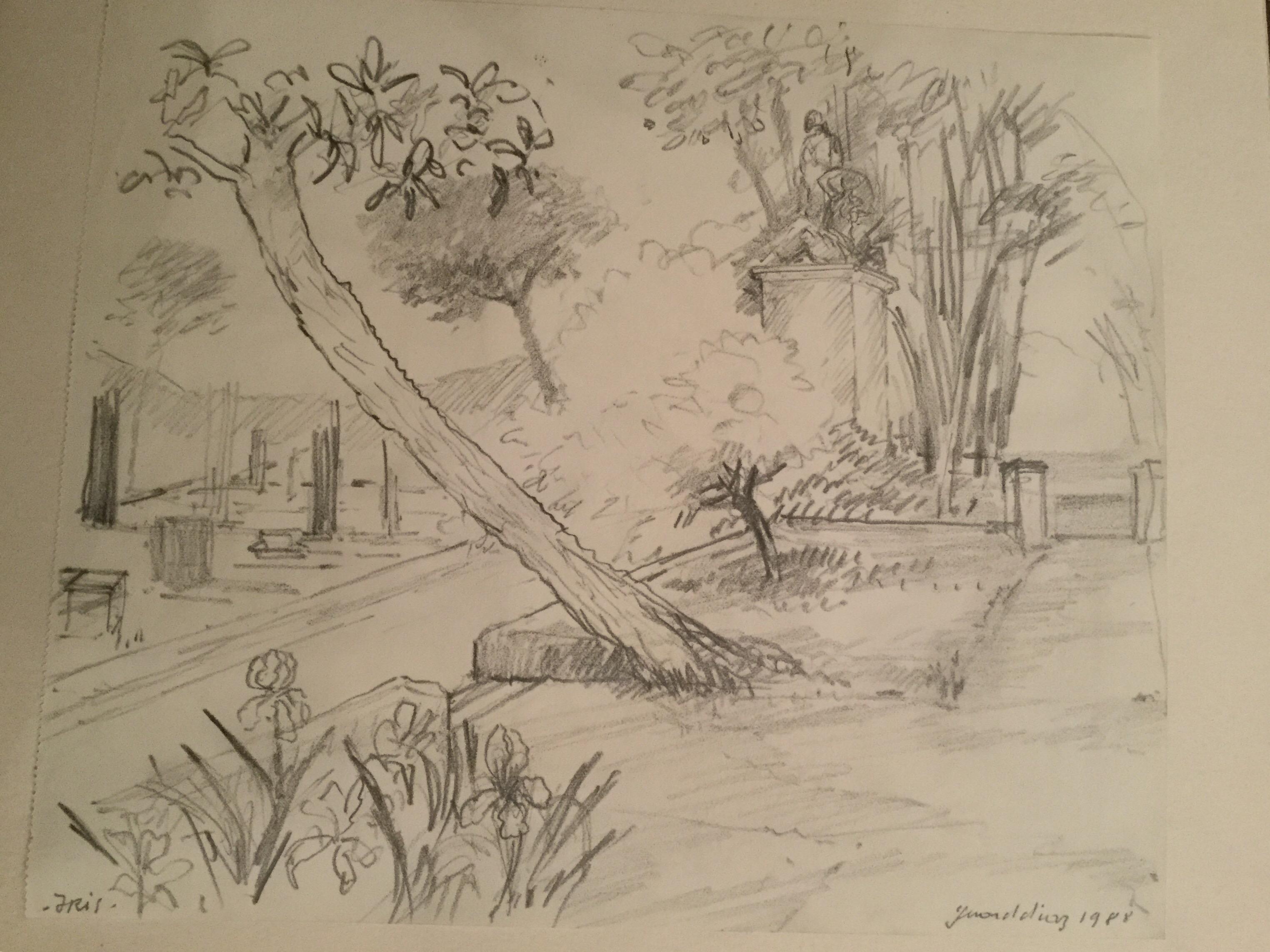 This drawing is a view of a garden.
In the background, we see a high base topped by a statue of a 19th century figure along with other architectural ruins.
Central to the composition is a leafy tree with a leaning trunk.
The beautiful flowering iris