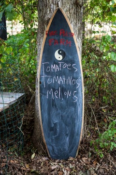Camino Farm:  Sorgenti, East Hampton