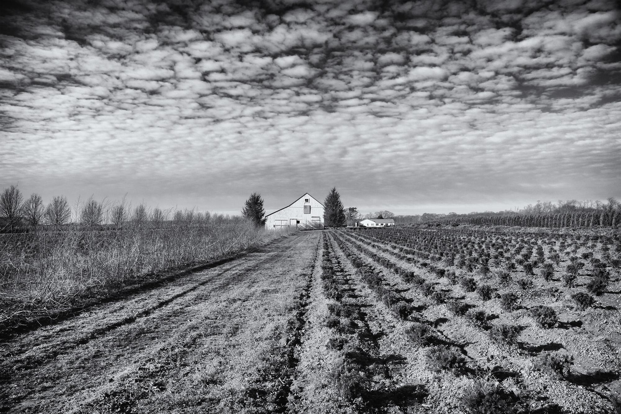 Gerard Giliberti Landscape Photograph - The Flag House BW