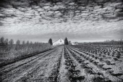 The Flag House BW