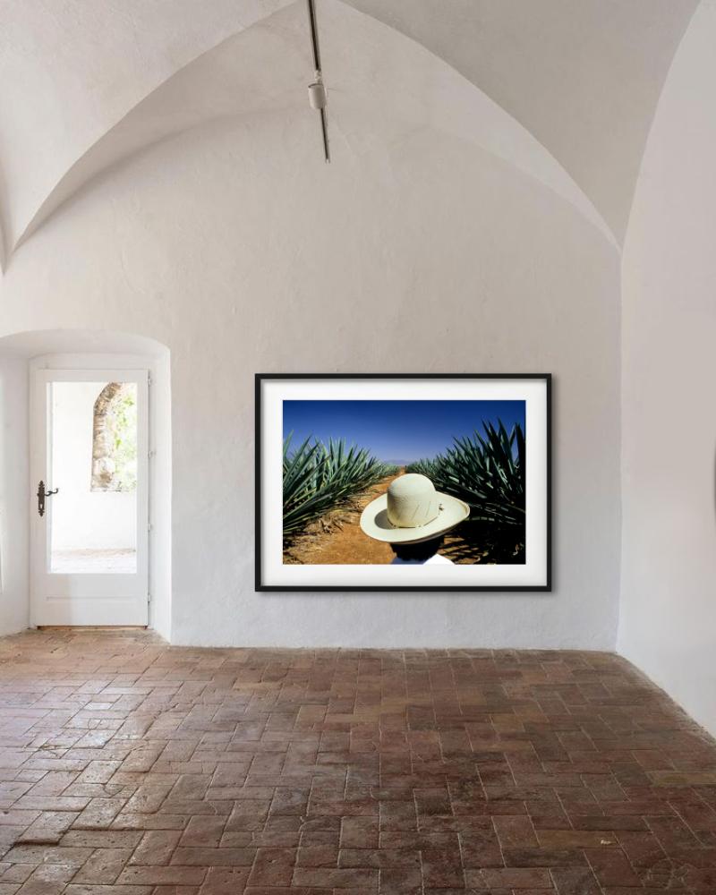 Mezcal, photographie d'art - Photograph de Gérard Uféras