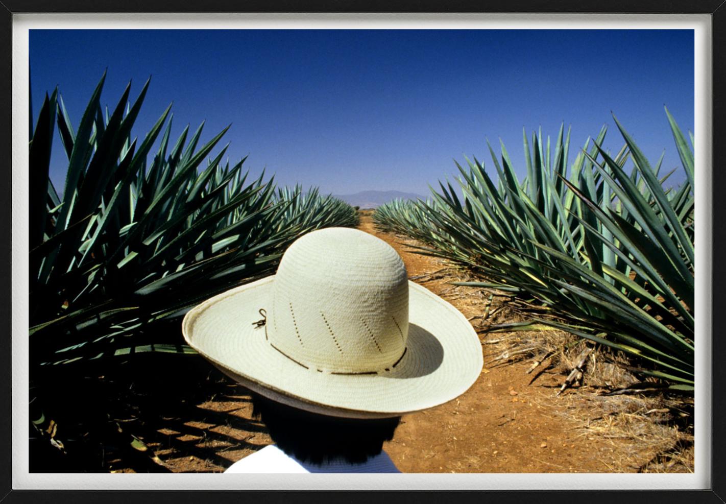 Mezcal, photographie d'art - Noir Black and White Photograph par Gérard Uféras