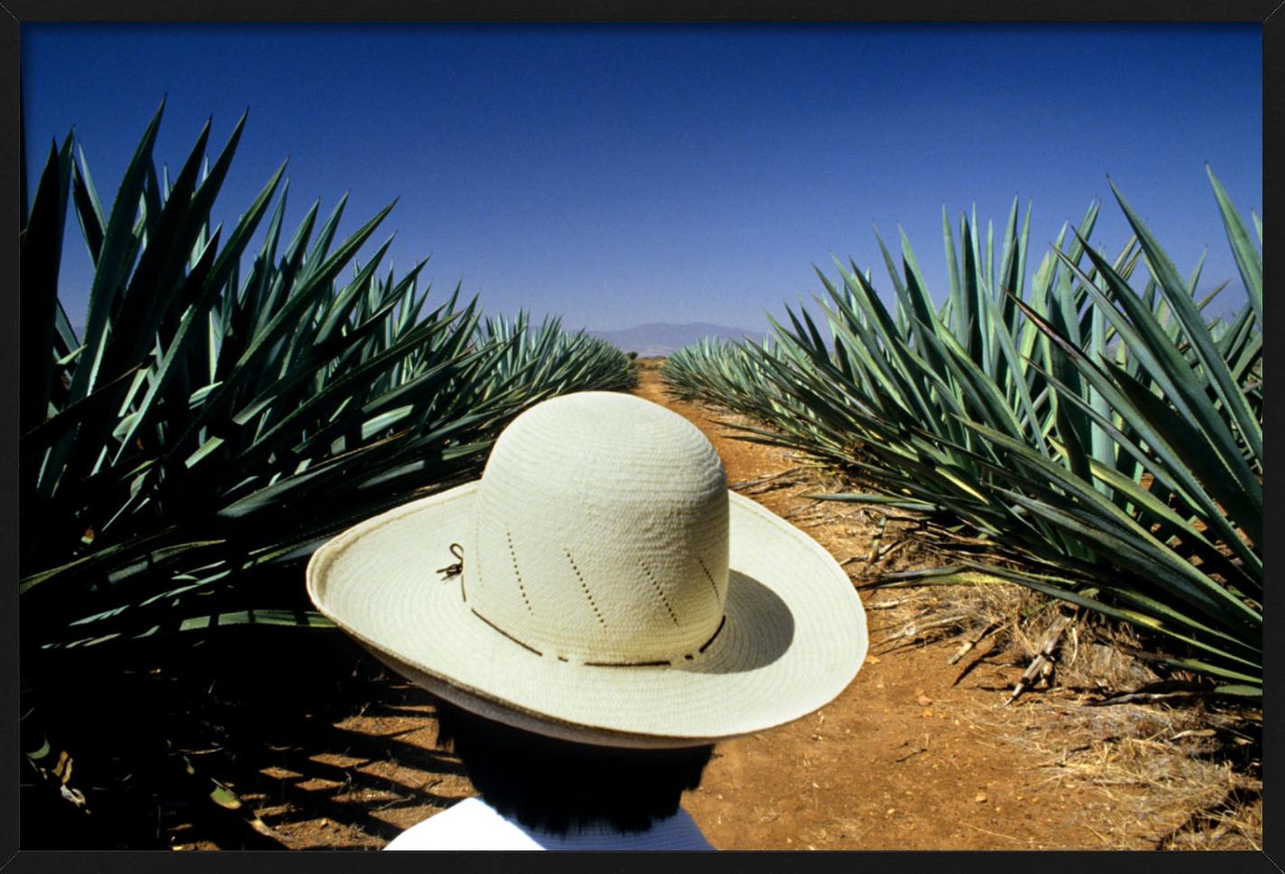 Mezcal, photographié par Gérard Uféras.

Tous les tirages sont en édition limitée. Disponible en plusieurs tailles. Encadrement haut de gamme sur demande.

Toutes les impressions sont réalisées et signées par l'artiste. Le collectionneur reçoit un