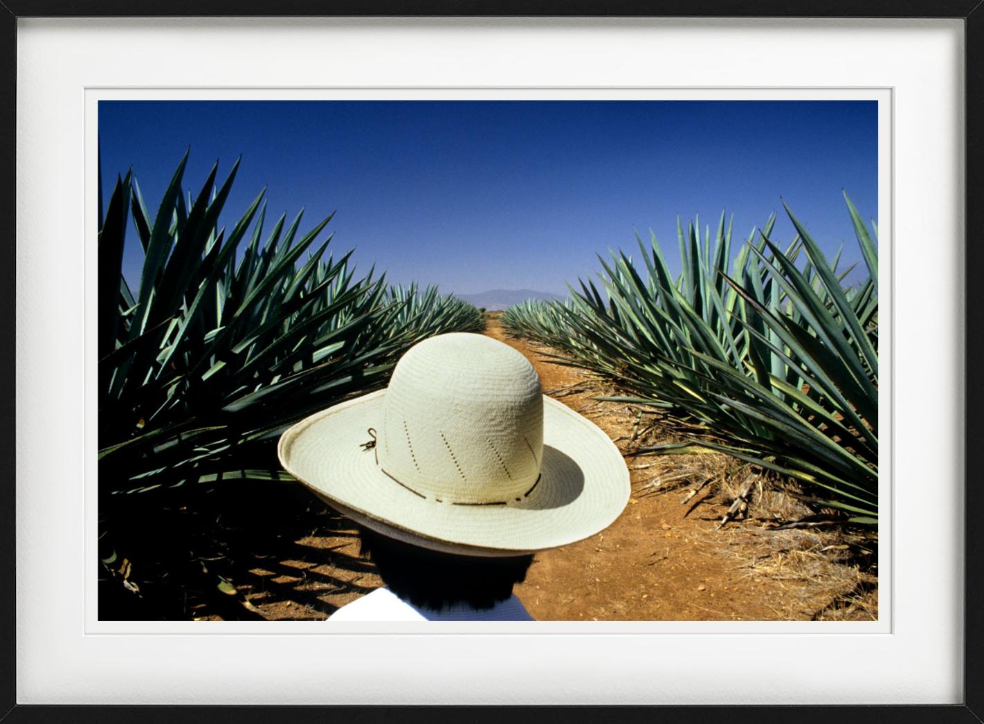 Mezcal, photographie d'art en vente 1