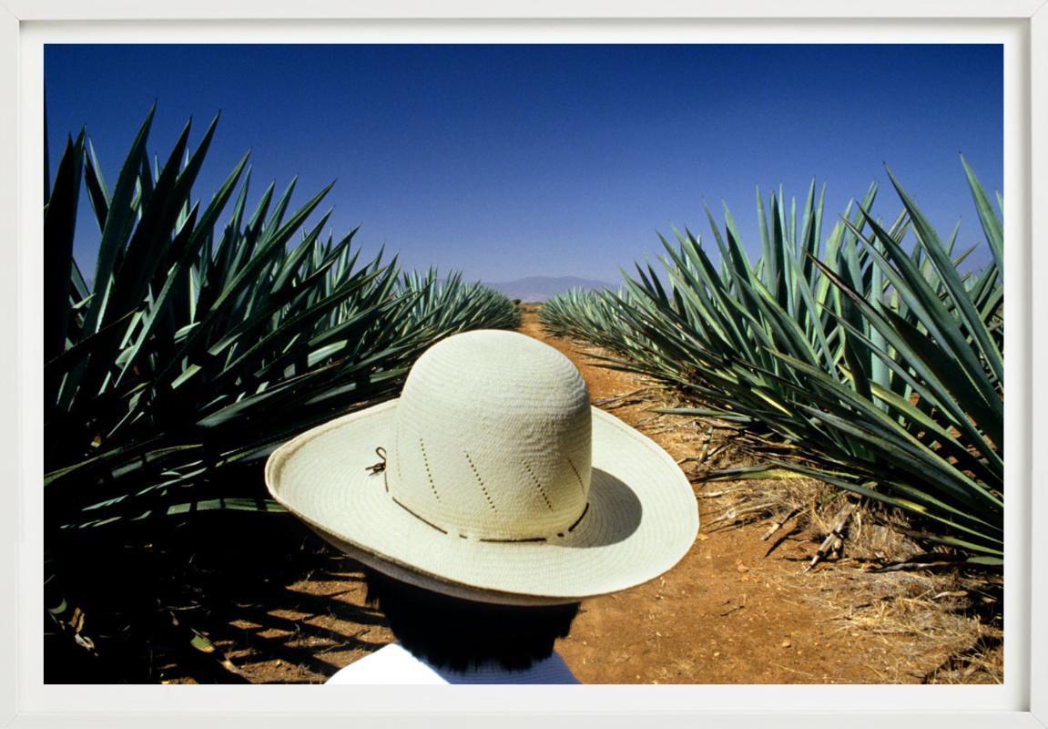 Mezcal, photographie d'art en vente 2